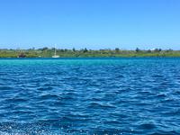 Rapsodie in blau