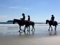 Reiten