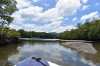Sierpe Fluss