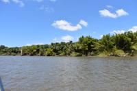 Sierpe Fluss