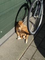 mir gehts gut, ich sonne mich :-) 