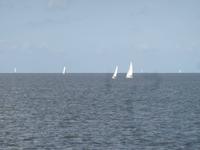 Segelboote auf dem Ijsselmeer