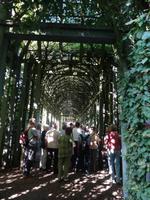 Palais Het Loo Apeldoorn