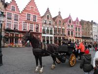 Pferdekutschen auf dem Markplatz