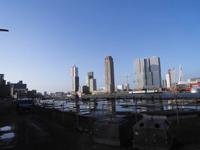 Skyline von Rotterdam
