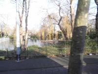 mit dem Bus vorbei am Zoo in Amsterdam