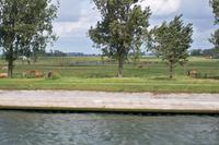 Ländliche Idylle am Ufer