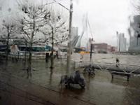 Rotterdam-Silvesterstimmung