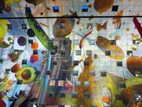 Rotterdam- Markthalle