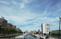 Rotterdam, Stadtrundfahrt