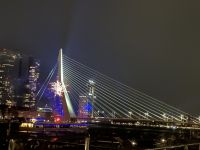Rotterdam - Erasmusbrücke - Silvesterfeuerwerk