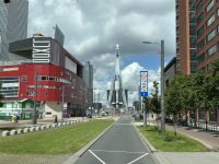 Stadtrundfahrt durch Rotterdam - Blick auf die Erasmusbrücke