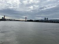 Ablegen in Rotterdam