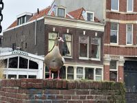 Rotterdam - Delfhaven