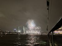 Rotterdam - Silvesterfeuerwerk an der Erasmusbrücke