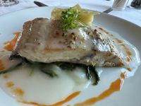 Hauptgang Abendessen 