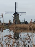 Kinderdjk es gab insgesamt 19 Windmühlen &ndash; &copy; Gabriele Stoffele (Eberhardt TRAVEL)