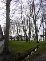 Beginenhöfe in Brügge