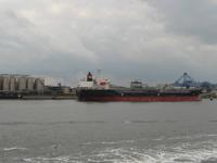 Hafenanlagen vor Rotterdam