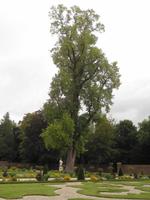 auch solche Exemplare findet der Besucher