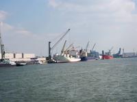 Hafenanlagen, Antwerpen