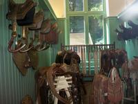 Geschirre und Sattelzubehör