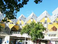 IMG_20200721_095011