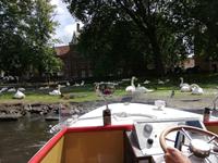 IMG_20200722_115955