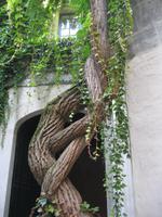 IMG_9090