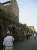 IMG_9202