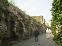 IMG_9203