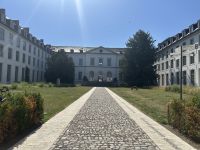 Löwen - Pope College