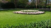 Überall etwas zu entdecken auf dem Keukenhof