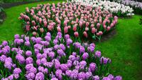 073 Holland, Impressionen im Keukenhof