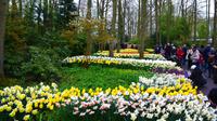 076 Holland, Impressionen im Keukenhof