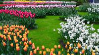 081 Holland, Impressionen im Keukenhof