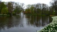 093 Holland, Impressionen im Keukenhof
