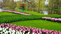 099 Holland, Impressionen im Keukenhof
