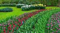 111 Holland, Impressionen im Keukenhof