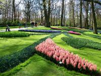 Im Keukenhof