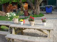 Willkommen in der Käserei