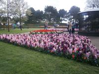 Man kann sich gar nicht satt sehen, so herrlich ist die Vielfalt