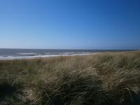 Blick über die Dünen zur Nordsee