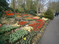 Ein Meisterwerk der hiesigen Gärtner