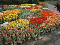 Alles reizt zum Fotografieren