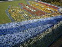 Ein weiterer Teil des Blumenmosaiks