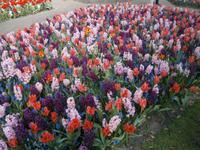 wunderbare Farbzusammenstellung