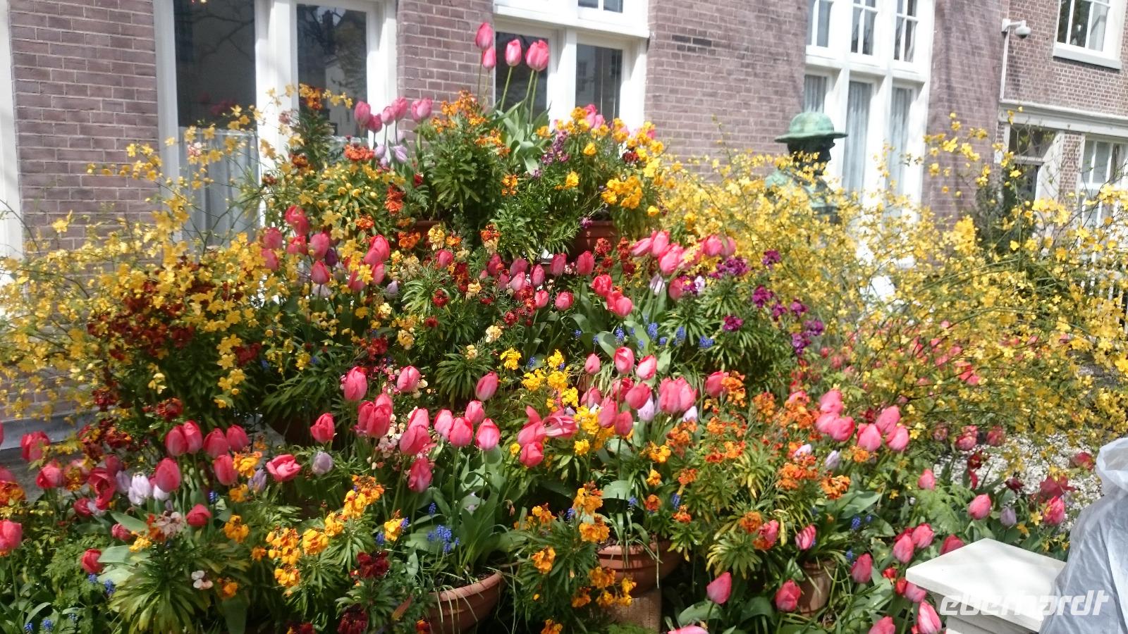 Blumenarangement im Begijnenhof