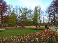 Blick auf dem Keukenhof