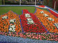 Das Blumenmosaik zum Jahresthema (Ausschnitt)